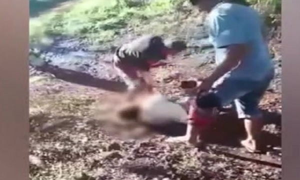 Adolescente de 15 años brutalmente golpeada - SNT