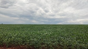 BCP: AJUSTE DE LA PROYECCIÓN DEL PIB 2022 DEPENDE DE LA ESTIMACIÓN DE LA NUEVA CAMPAÑA AGRÍCOLA - Itapúa Noticias