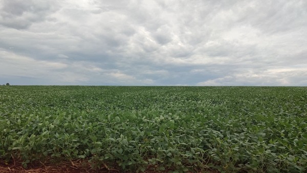 BCP: AJUSTE DE LA PROYECCIÓN DEL PIB 2022 DEPENDE DE LA ESTIMACIÓN DE LA NUEVA CAMPAÑA AGRÍCOLA - Itapúa Noticias