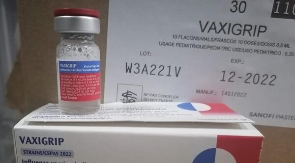 Arribaron 700.000 vacunas contra la influenza