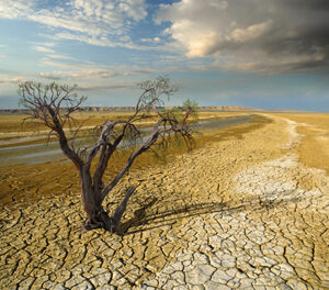 Diario HOY | Tierras indígenas son claves para metas climáticas de Brasil, Colombia, México y Perú