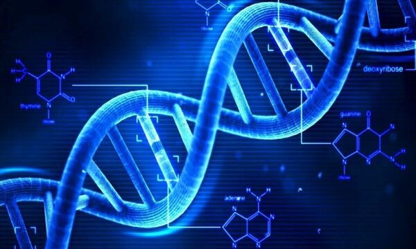 Completan el genoma humano por 1ª vez: el hallazgo clave para combatir enfermedades