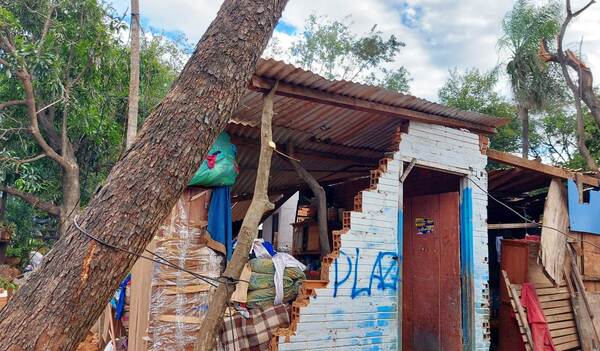 Un árbol destroza la casa de una abuelita en Luque •