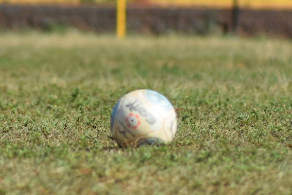 LSLF: este domingo se jugará la quinta fecha de la División de Honor - San Lorenzo Hoy