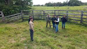 Hallaron 16 cabezas de ganado que pertenecerían a estancia de Conrado Ramón Insfrán - Megacadena — Últimas Noticias de Paraguay