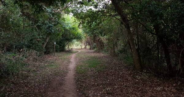 La Nación / Realizarán en Itacurubí circuito mitológico y etnológico para toda la familia