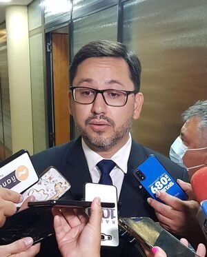 Senado aprueba inscripción automática para votar a los paraguayos residentes en el exterior - Nacionales - ABC Color