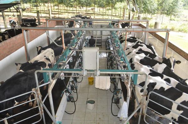 Anuncian suba de Gs. 250 por litro en el precio de la leche