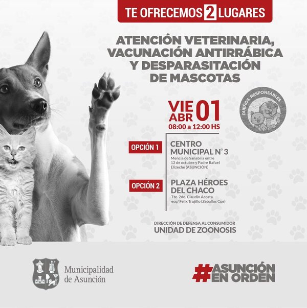 Hoy viernes invitan a jornada de vacunación y atención gratuita para mascotas en Asunción