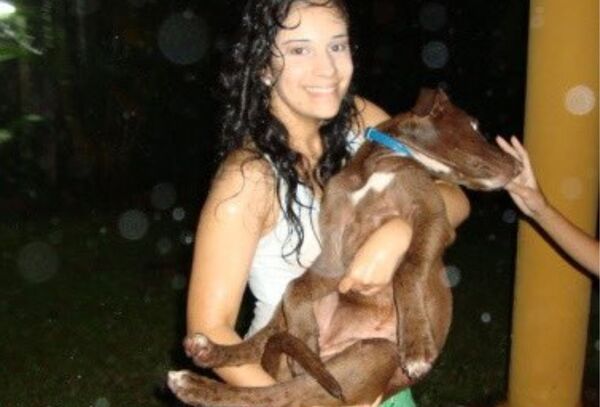 La historia de Todinho, el perrito marrón que causa conmoción en las redes - Megacadena — Últimas Noticias de Paraguay