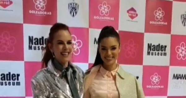 La Nación / Nadia Ferreira cautivó en la gala benéfica Pink Power Night