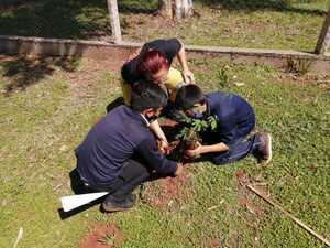 Orientan a estudiantes sobre conservación de recursos naturales - La Clave
