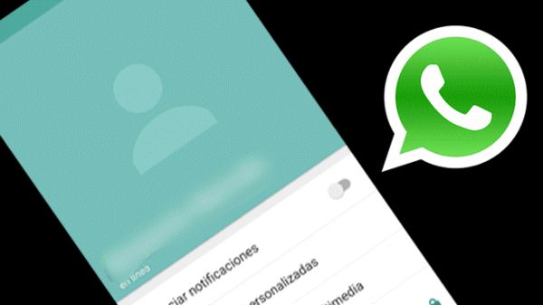 WhatsApp protege fotos de perfil con actualización - ADN Digital