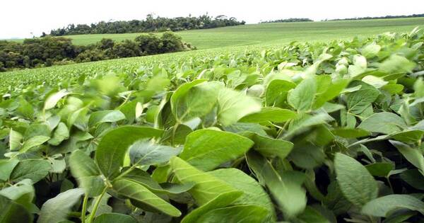 La Nación / Paraguay y Argentina acuerdan cooperación agrícola-ganadera