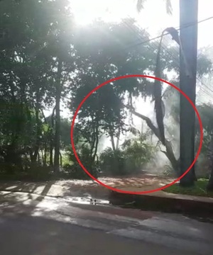Seguimos con "fogatas" pese a existencia de ordenanza que estipula multas de entre cien a mil jornales mínimos » San Lorenzo PY