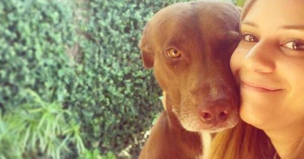 La Nación / Todinho, el perro que conmovió las redes sociales