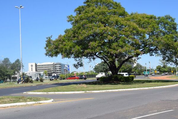 Tras publicación periodística, avanza limpieza en autopista Silvio Pettirossi y avenida Ñu Guasu - Nacionales - ABC Color