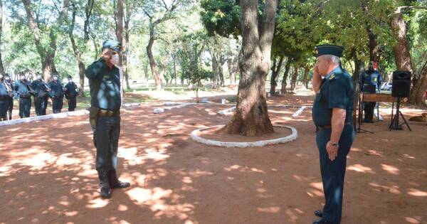 La Nación / Caso Academil: comandante afirmó que cadete cayó de árbol de eucalipto al buscar prepararse un té