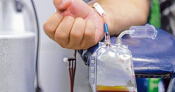La Nación / Más de dos toneladas de plasma retornarán como medicamento para pacientes de UTI