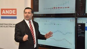 "Pediremos libre disponibilidad de la energía de Itaipú para vender"
