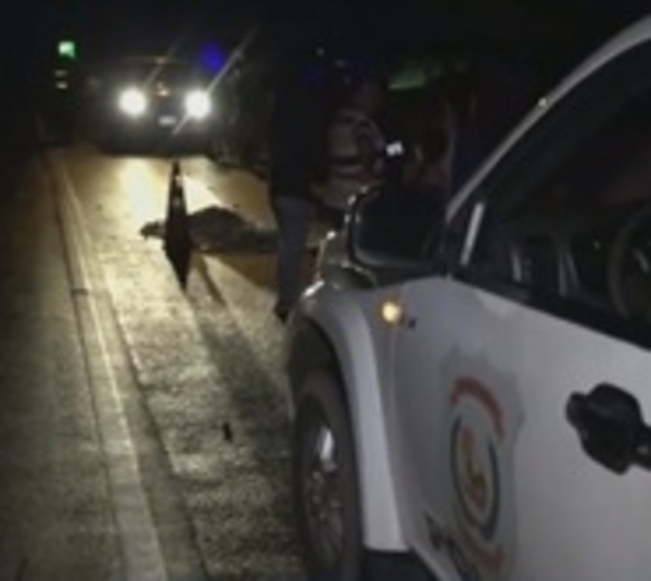 Conductor se fugó tras atropellar y matar a un peatón - Paraguay.com