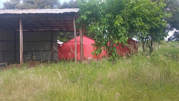 HALLAN CADÁVER EN VIVIENDA DEL B° VIRGEN DE FÁTIMA DE EDELIRA - Itapúa Noticias