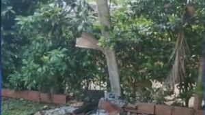 Piden reposición de columna de Copaco que apeligra a vecinos