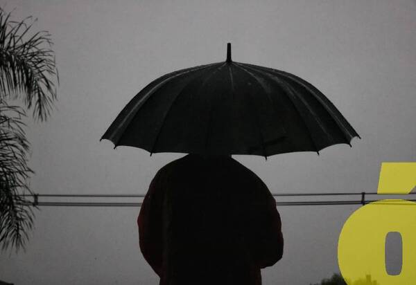 Crónica / Prepará paraguas de madera y paracaídas para árboles: granizada y temporal