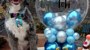 Festejó los 13 años de su perrito mimado