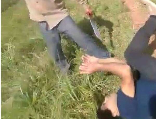 Crónica / [Video] Vecinos se "reventaron" con machete por culpa de ¿una vaca "invasora"?