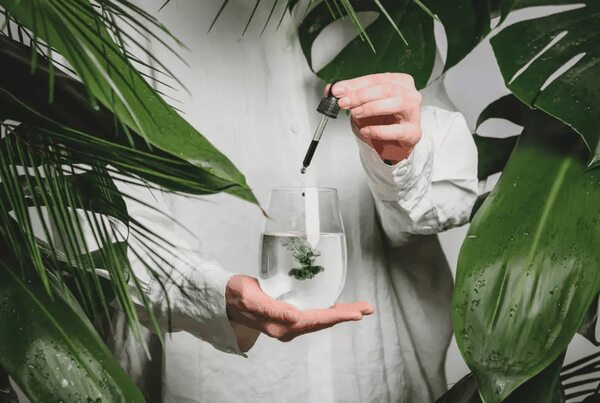 Clorofila: el regalo de las plantas para nuestro cuerpo