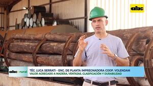 Impregnación de maderas en Planta Forestal de la Cooperativa Volendam - ABC Rural - ABC Color