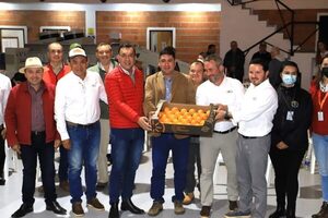 Paraguay alista producción de caqui que será exportada a Europa - Radio Positiva