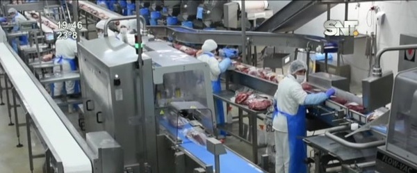Economía en destaque: Cayeron faena y exportación de carne bovina - SNT