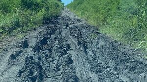 Productores de Bahía Negra urgen arreglo de caminos tras las lluvias