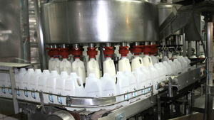 La industria láctea estima un leve aumento en el precio de la leche