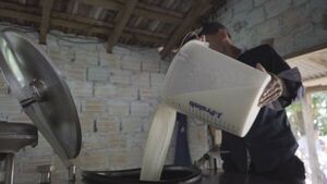 Diario HOY | Anuncian la suba de precios de la leche: “No va a ser muy significativo”