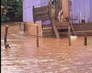 ZONAS BAJAS DE CIUDAD DEL ESTE ESTÁN BAJO AGUA - La Voz del Norte