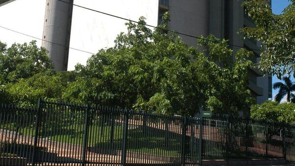 BCP justifica remisión de informes tachados por restricciones legales