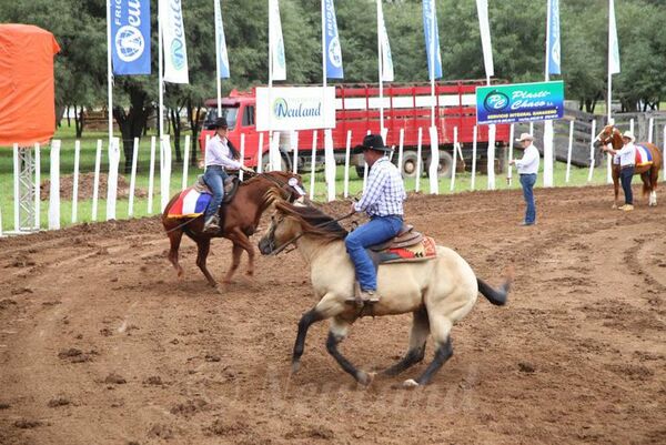 Expo Rodeo Neuland, con una nutrida cartelera - Noticias del Chaco - ABC Color
