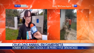 Hombre presuntamente mató a su perra con una azada en Itapúa