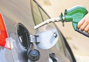 Senado tratará Ley de estabilización de combustibles para que el Ejecutivo ponga mano a 100 palos verdes