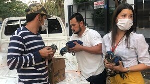 Diario HOY | Aplican fuerte multa a supuestos responsables del comercio ilegal de Guacamayo Azul