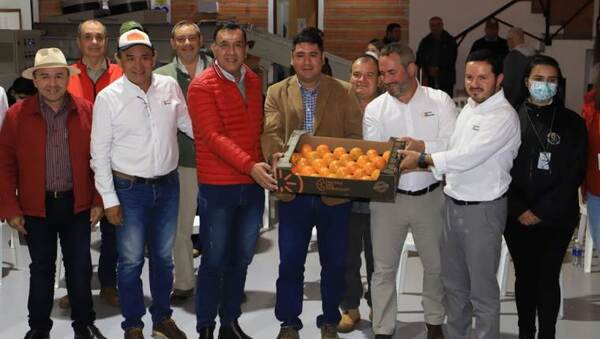 Producen 100 hectáreas de Caqui en Santa María Misiones