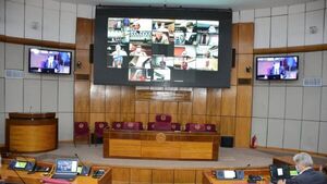 Senado aprueba deuda para que subsidio a combustibles llegue a emblemas privados
