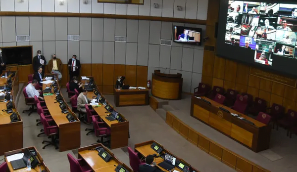 Aprueban préstamo para que subsidio a combustibles llegue a emblemas privados - Noticiero Paraguay