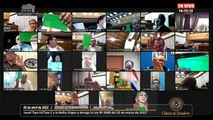 Senado aprueba préstamo para subsidiar combustible en emblemas privados