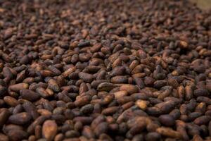 Islas Baleares ayudan a mejorar la producción y el comercio de cacao en Nicaragua - MarketData
