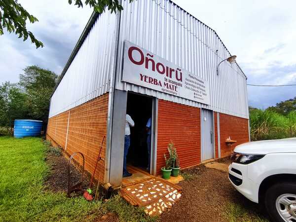 Yerba Mate Oñoirũ crece con apoyo del CAH y ahora será exportada a EE.UU. - .::Agencia IP::.