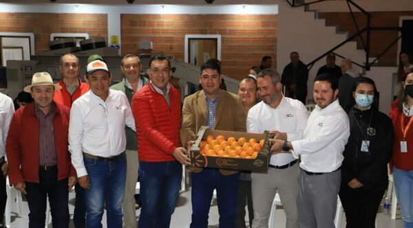 Paraguay exportará caqui a Europa